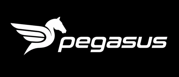 Pegasus